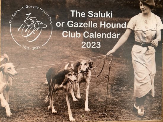 2024 SGHC Calendar Competition | The Saluki or Gazelle Hound Club