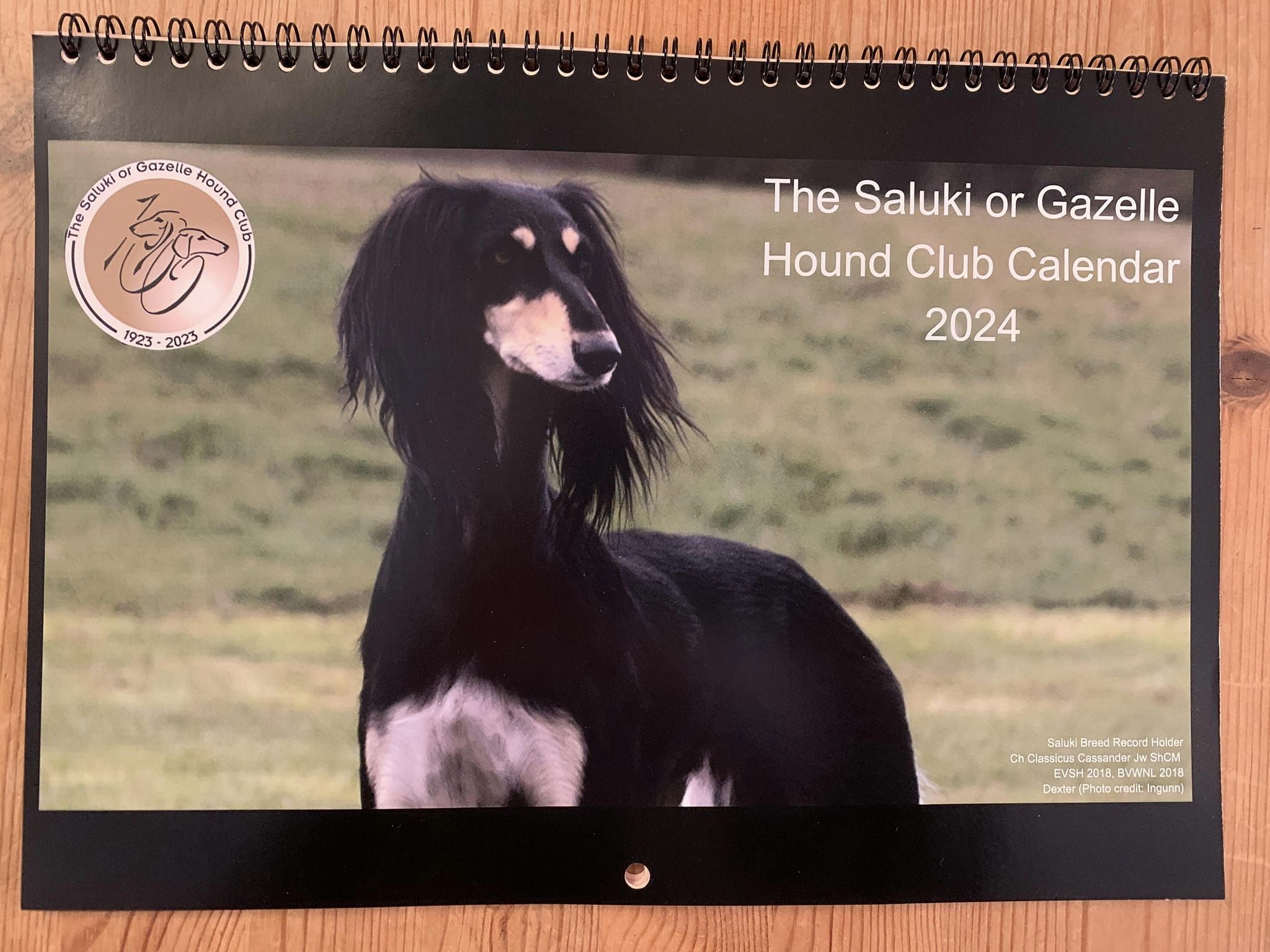Saluki or Gazelle Hound Club Calendar 2024
